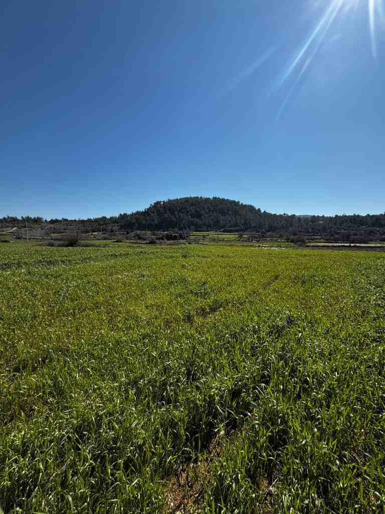 Muğla Menteşe arsa yatırımı