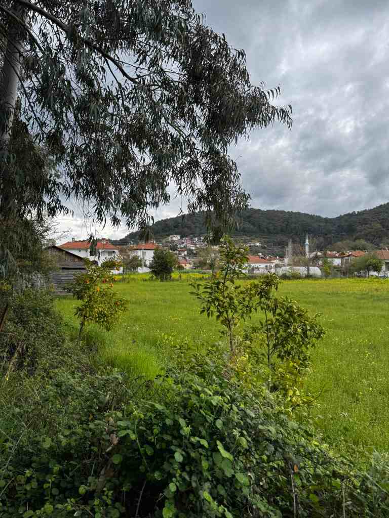 Muğla arsa ve tarla yatırımı 