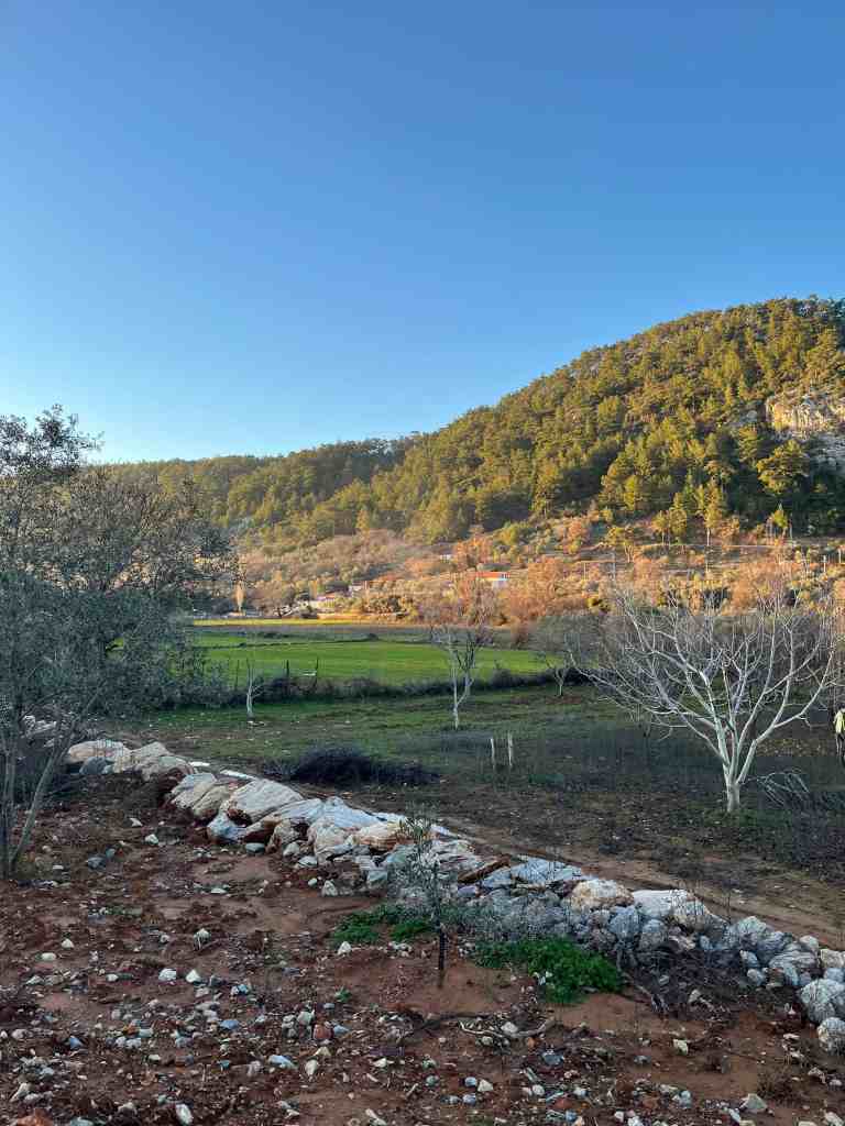 muğla arsa yatırımı analizi ve doğru lokasyon seçimi rehberi