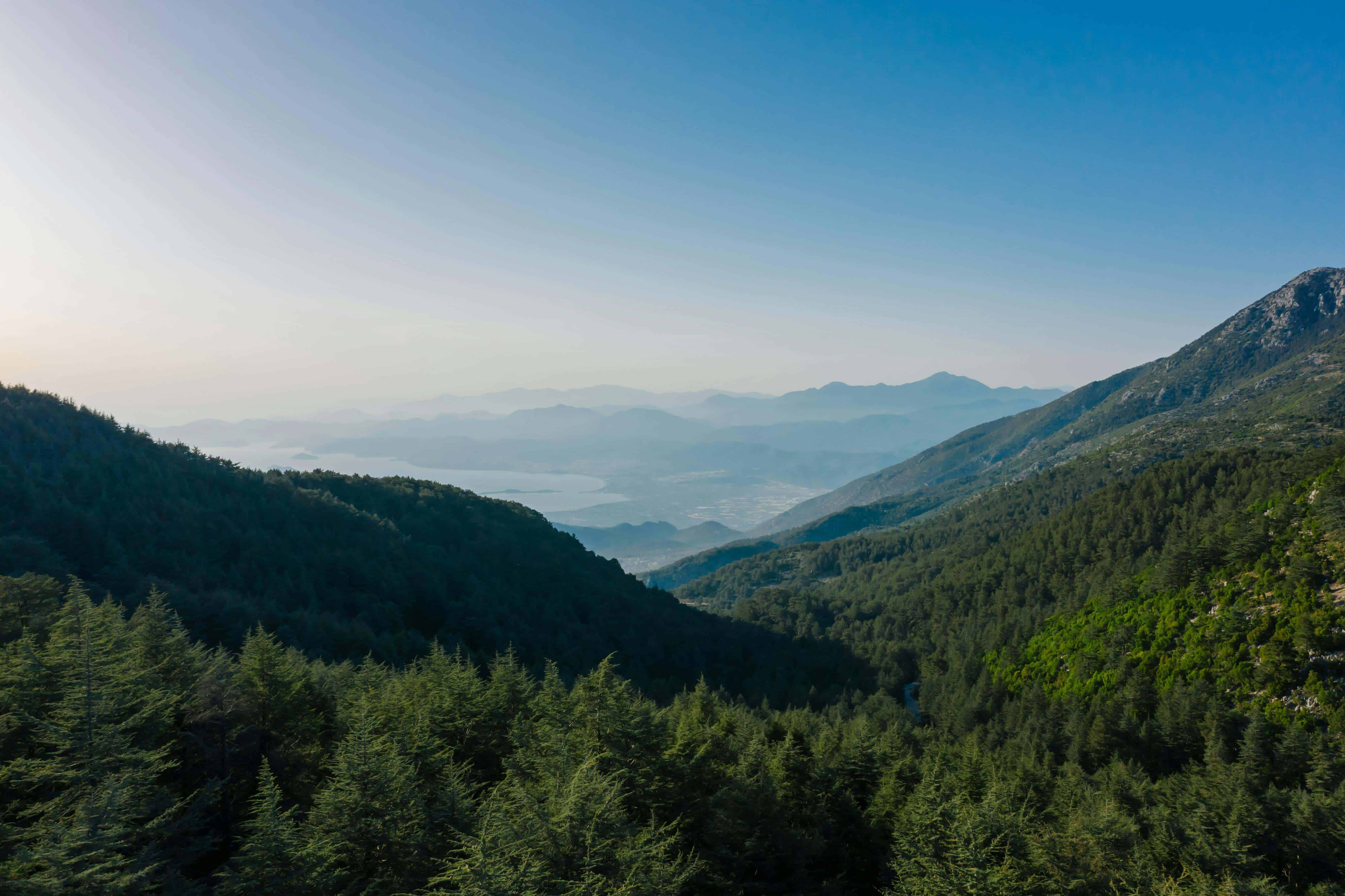 Muğla Menteşe Arsa